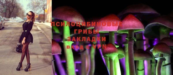 дмт Алексеевка