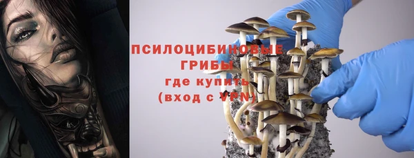 дмт Алексеевка