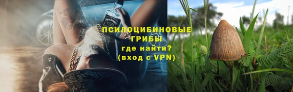 дмт Алексеевка