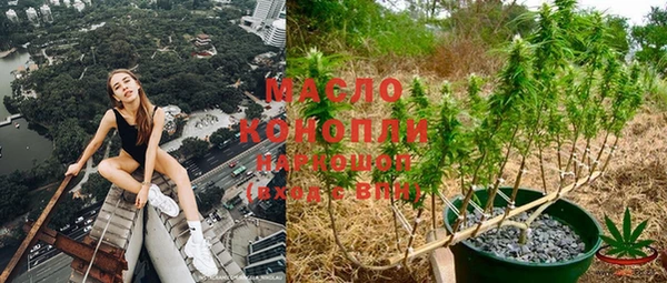 дмт Алексеевка